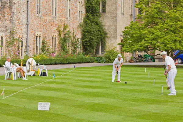 Croquet on the Lawn — Stock Photo, Image