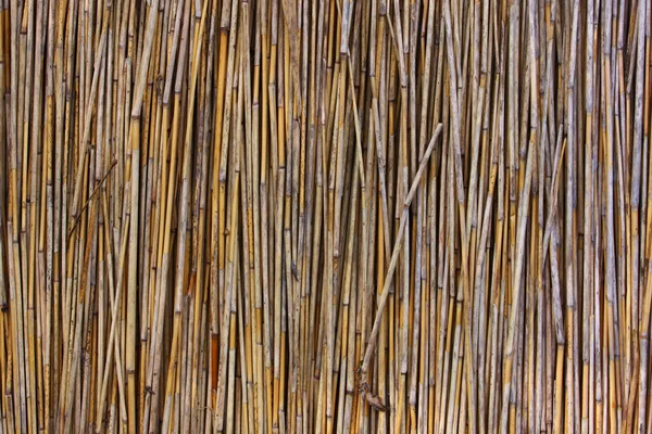Cortina de bambú —  Fotos de Stock
