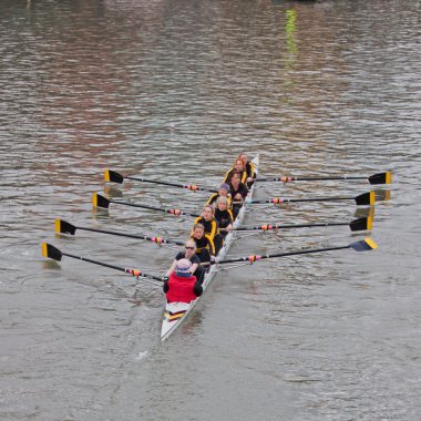Women Crew Pulling Together clipart