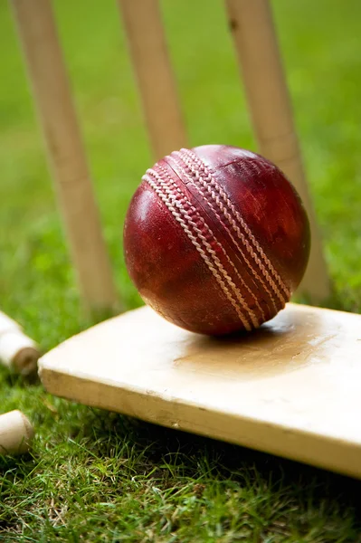 Kriket — Stock fotografie