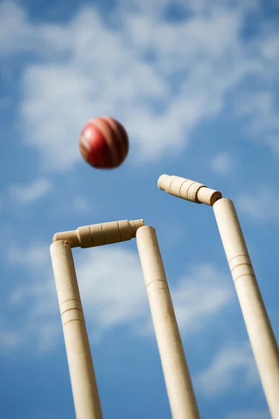 Пни для крикета — стоковое фото
