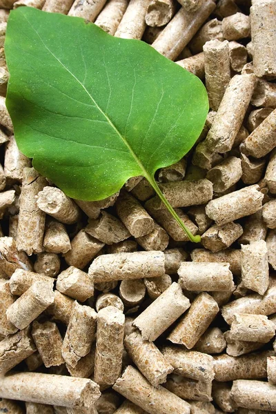 Pilha de aglomerados de madeira com uma folha verde — Fotografia de Stock
