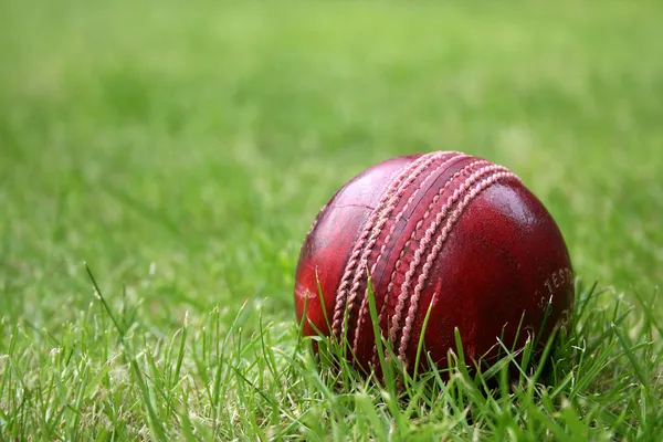 Bola de críquete Fotografias De Stock Royalty-Free