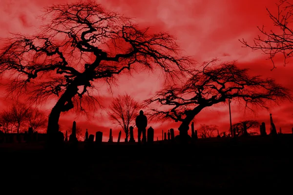 Gruseliges Höllenfeuer Friedhofsbild mit gruseligen Bäumen — Stockfoto