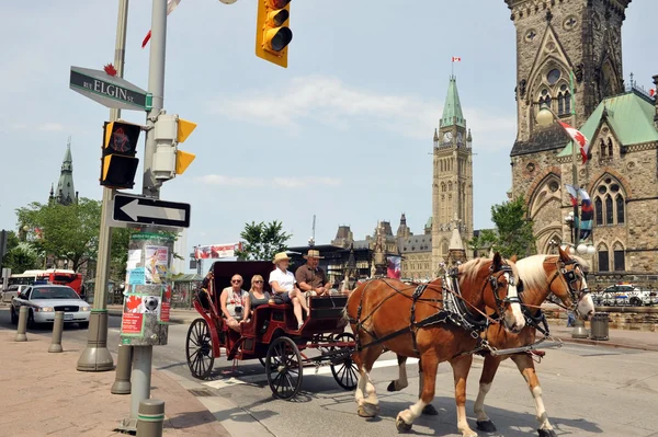 Paseo a caballo en Ottawa — Foto de Stock