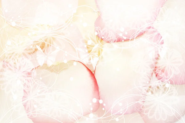 Cartão muito macio com pétalas de rosas — Fotografia de Stock