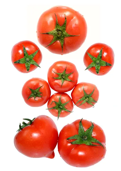 Čerstvé červené rajče bílý zadní — Stock fotografie
