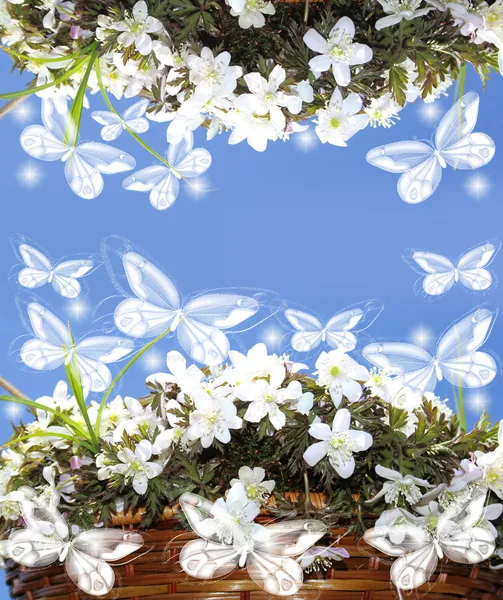 Moldura de flores brancas bonitas com espaço para texto — Fotografia de Stock