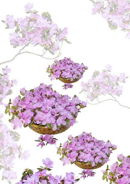 Cartão bonito elegante com cesta de flores — Fotografia de Stock