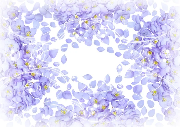 Карточка лепестков цветов для вашего дизайна — стоковое фото