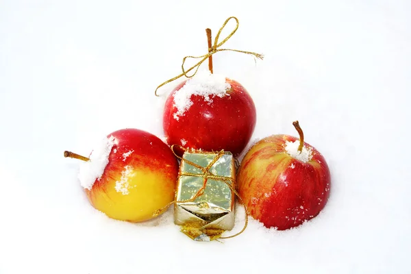 Jablka na sněhu — Stock fotografie