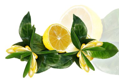 Lemon with leafs clipart