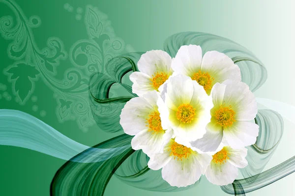 Abstract white flowers bouquet — Stock Photo, Image