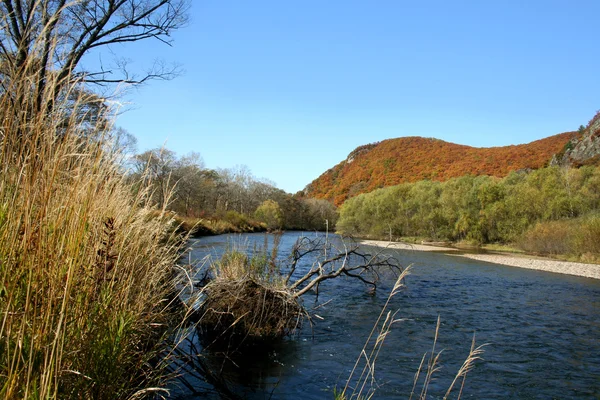 Podzim na divoká řeka — Stock fotografie
