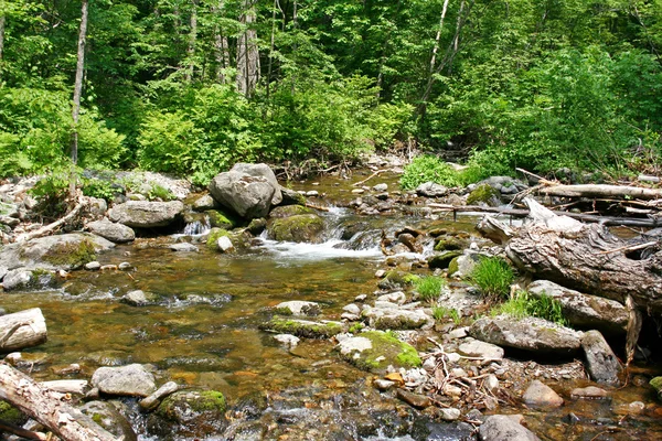 Beautiful spring stream — Stock Photo, Image