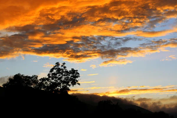 stock image Beautiful summer sunset