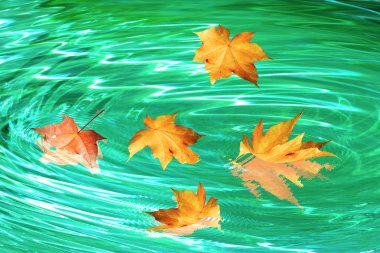 Autumn whirlpool clipart