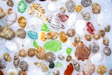 Sea treasures back clipart