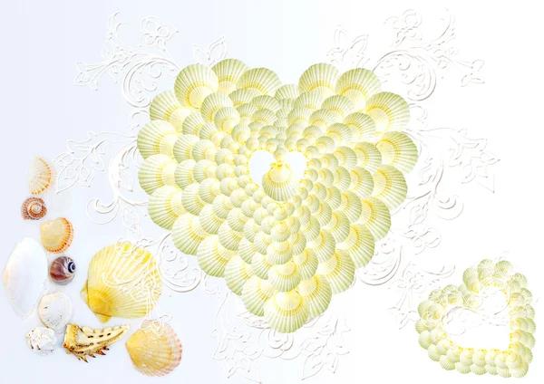 Corazón de conchas marinas abstractas — Foto de Stock
