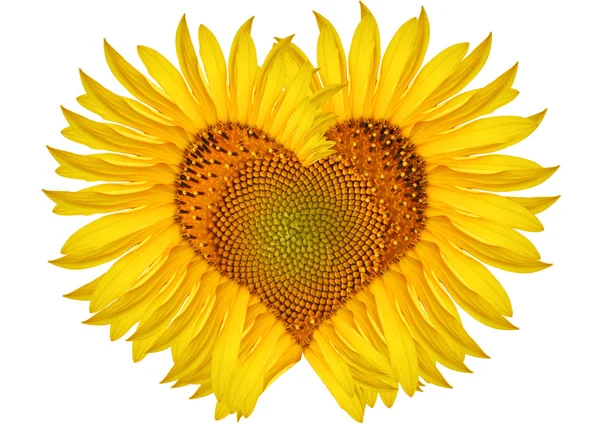 stock image Abstract sunflower heart