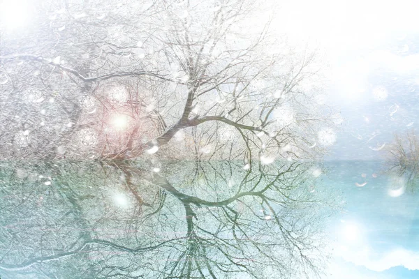 Libra de invierno abstracta — Foto de Stock