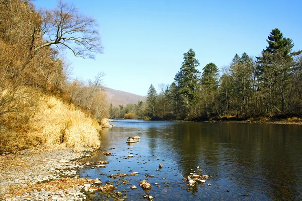 Herbst Flusslandschaft 2 — Stockfoto