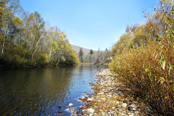 川の秋の風景 3 — ストック写真