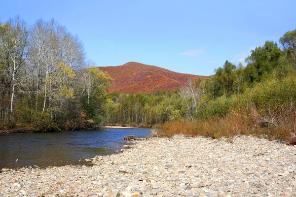 Осенний пейзаж реки 5 — стоковое фото