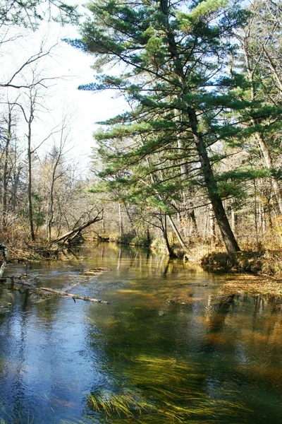 Herfst rivier landschap 6 — Stockfoto
