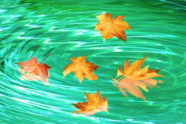 Herfst whirlpool — Stockfoto