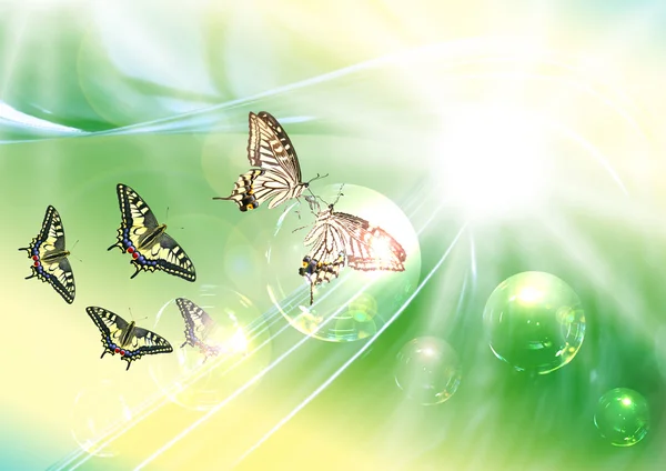 Kelebekler düş fantezi — Stok fotoğraf