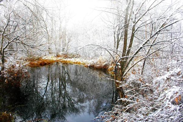 Snöfall på en vacker vinter pund — Stockfoto