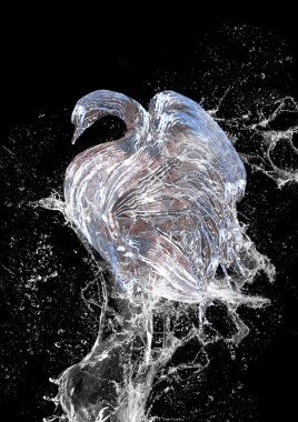 Abstract swan from water clipart
