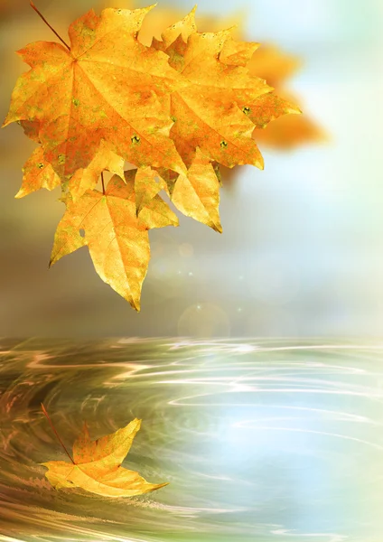 Herbstfantasie — Stockfoto