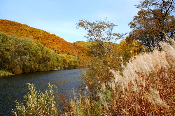 Podzim na řece — Stock fotografie
