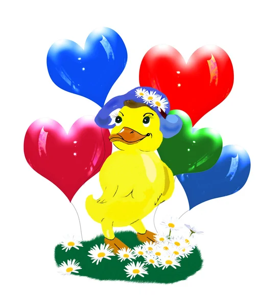 Beautiful funny duck — Stock Photo, Image