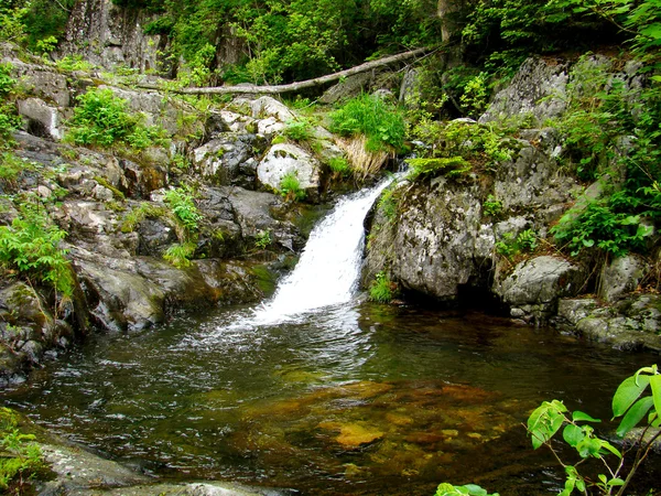Beautiful mountain waterfall 3 — Stock Photo, Image