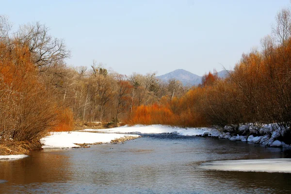 Vacker vår floden — Stockfoto