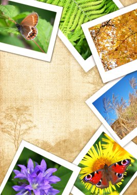 Beautiful frame from nature photos clipart