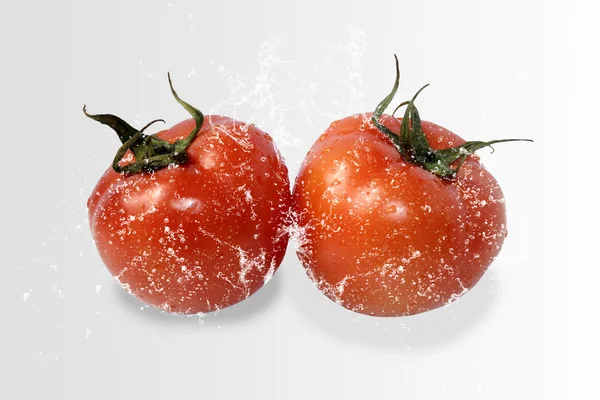 Tomate fraîche isolée — Photo