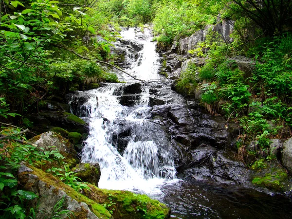 Summer waterfall — Stock Photo, Image