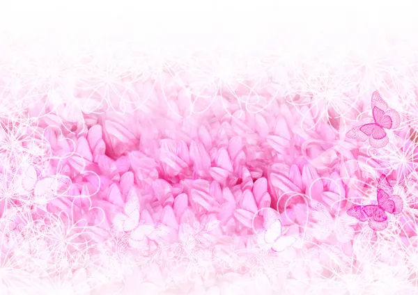 Cartão muito macio com pétalas rosa — Fotografia de Stock