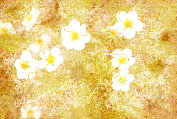 Çilek çiçekler ile şık vintage kağıt — Stok fotoğraf
