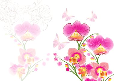 Elegant invitation card with painted orchids clipart