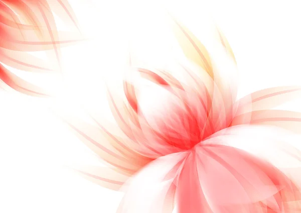 Очистить элегантную спину воздушным цветочком — стоковое фото