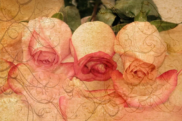 Grunge retro rosas cartão — Fotografia de Stock