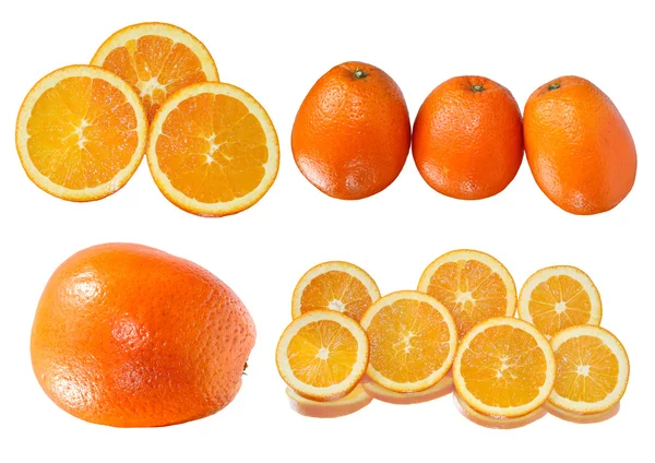 Isolated oranges collection — Stock Photo, Image