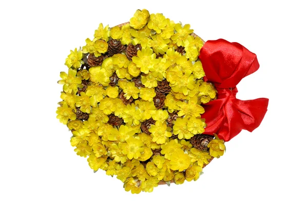 Isolierter Korb mit gelben Frühlingsblumen — Stockfoto