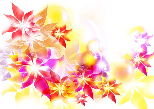Cartão de flores coloridas abstratas — Fotografia de Stock