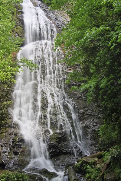 Mingo Falls — Stok Foto